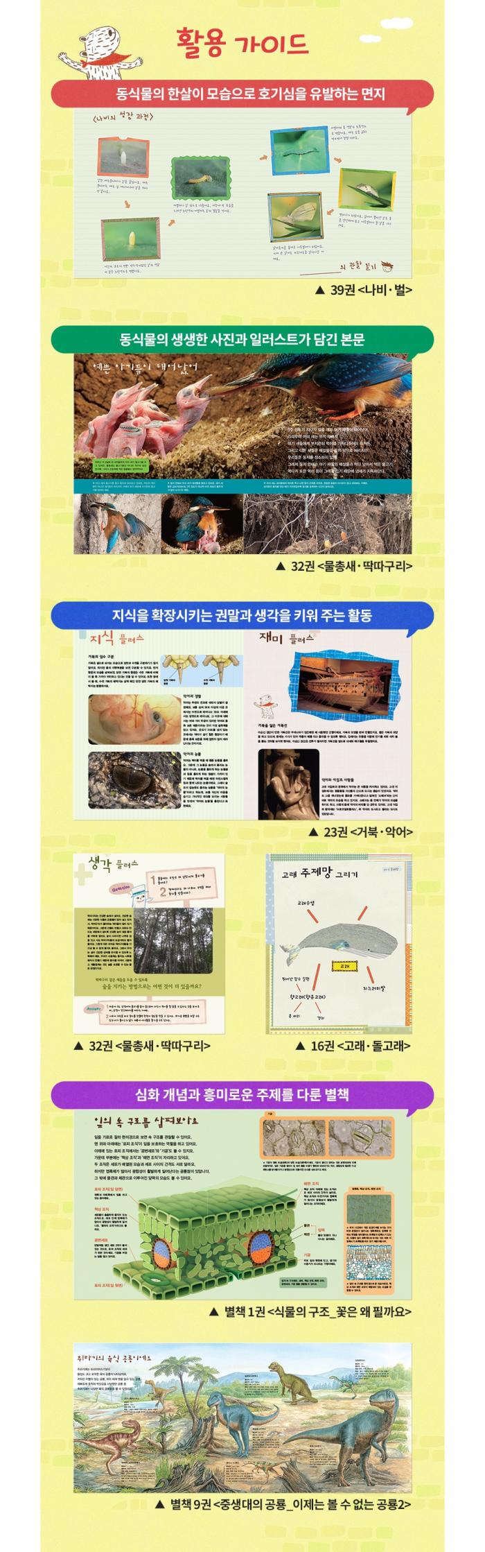 교과서가 보이는 자연의 신비 